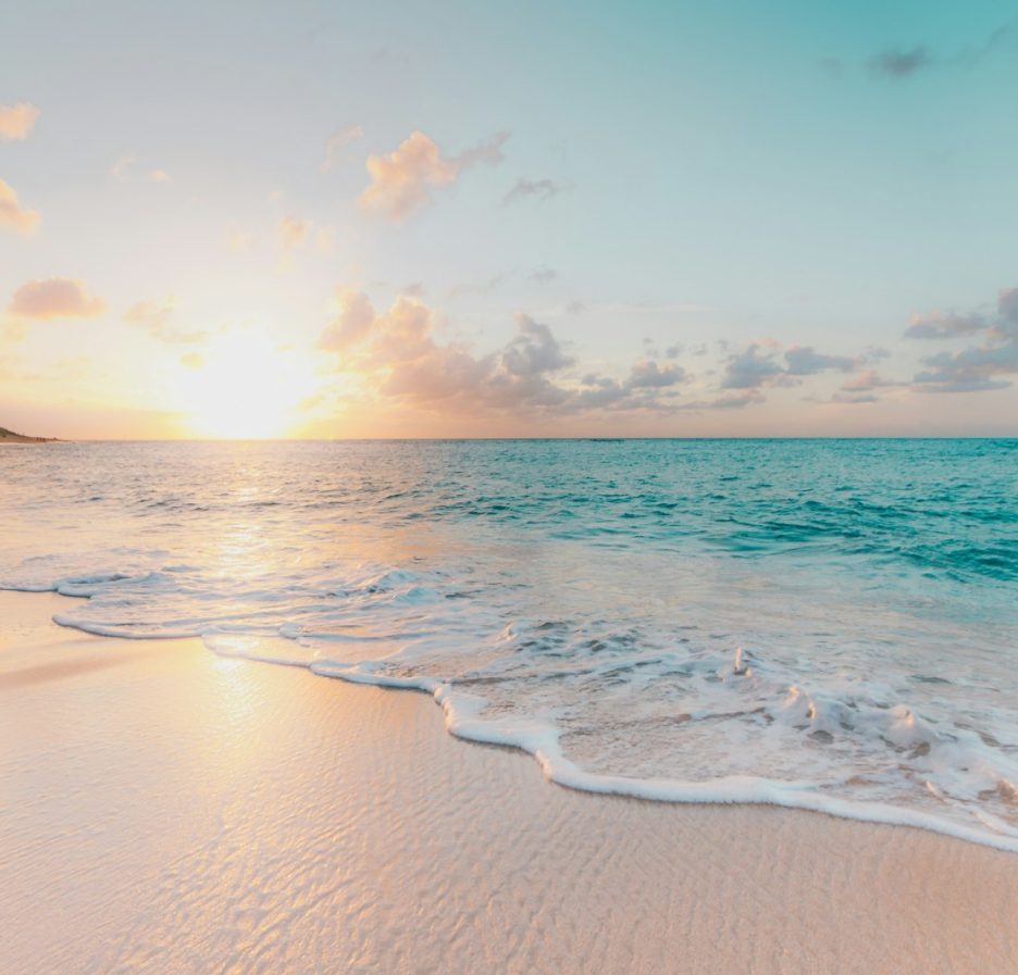 seashore during golden hour
